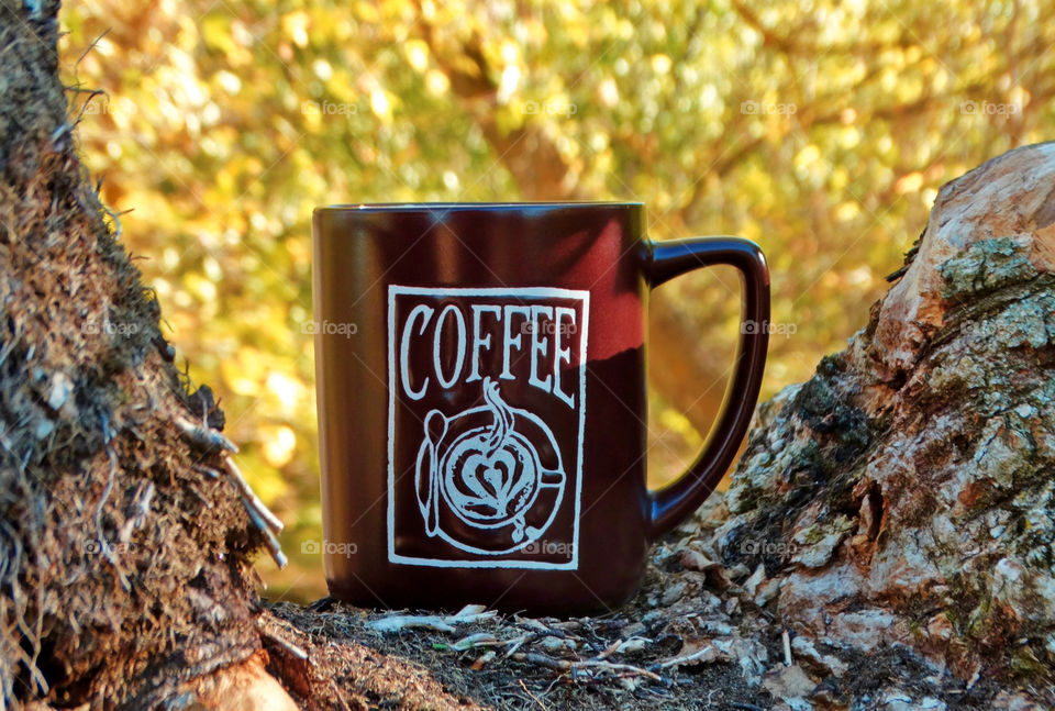 Autumn coffee time in the nature