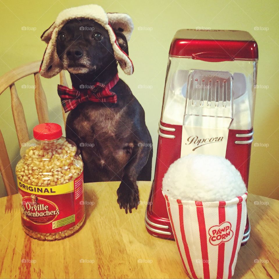 Movie tonite? Want some fresh popcorn? 
