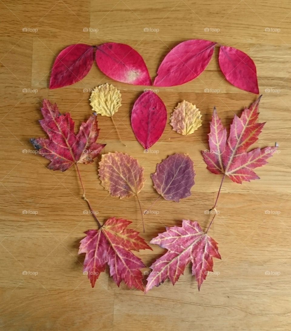 Heart  of leaves. Heart made of leaves