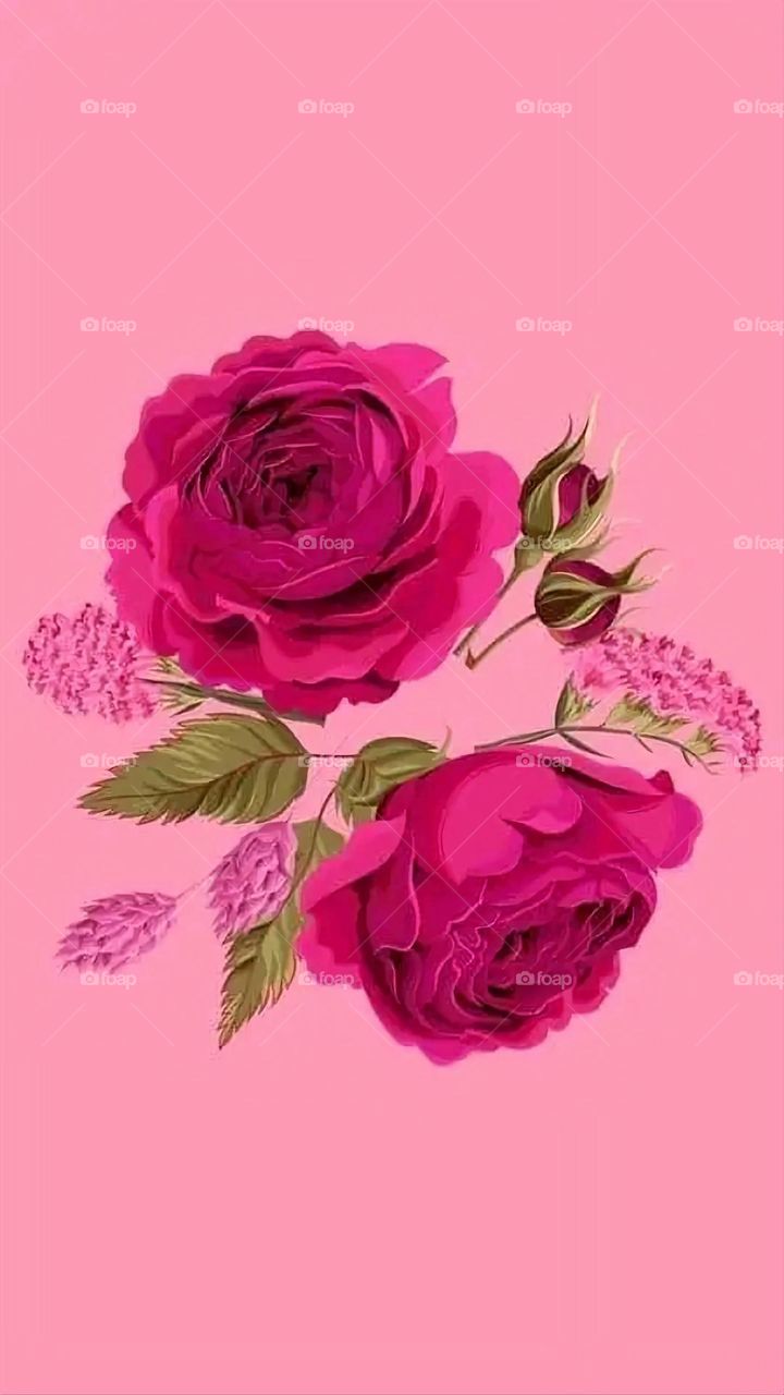 A very beautiful picture, and there is no better picture than it. There is no better picture of green herbs and colorful, red and white roses than it. Glory be to God, the natural and picturesque view, and there is no more wonderful picture than it.