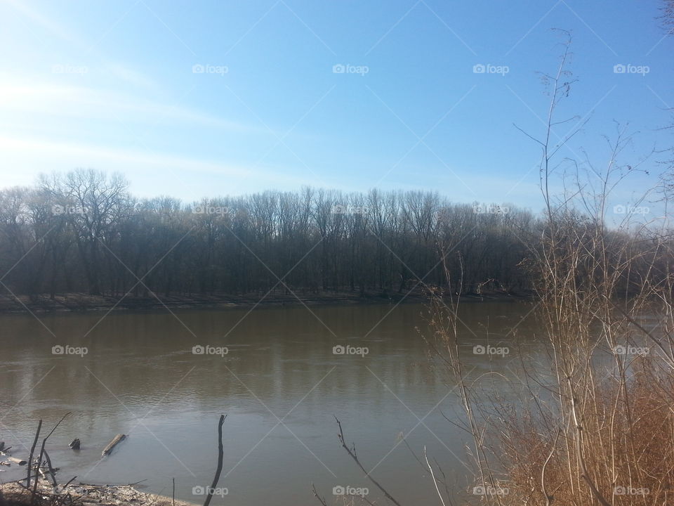 Landscape, Lake, Water, Winter, Tree