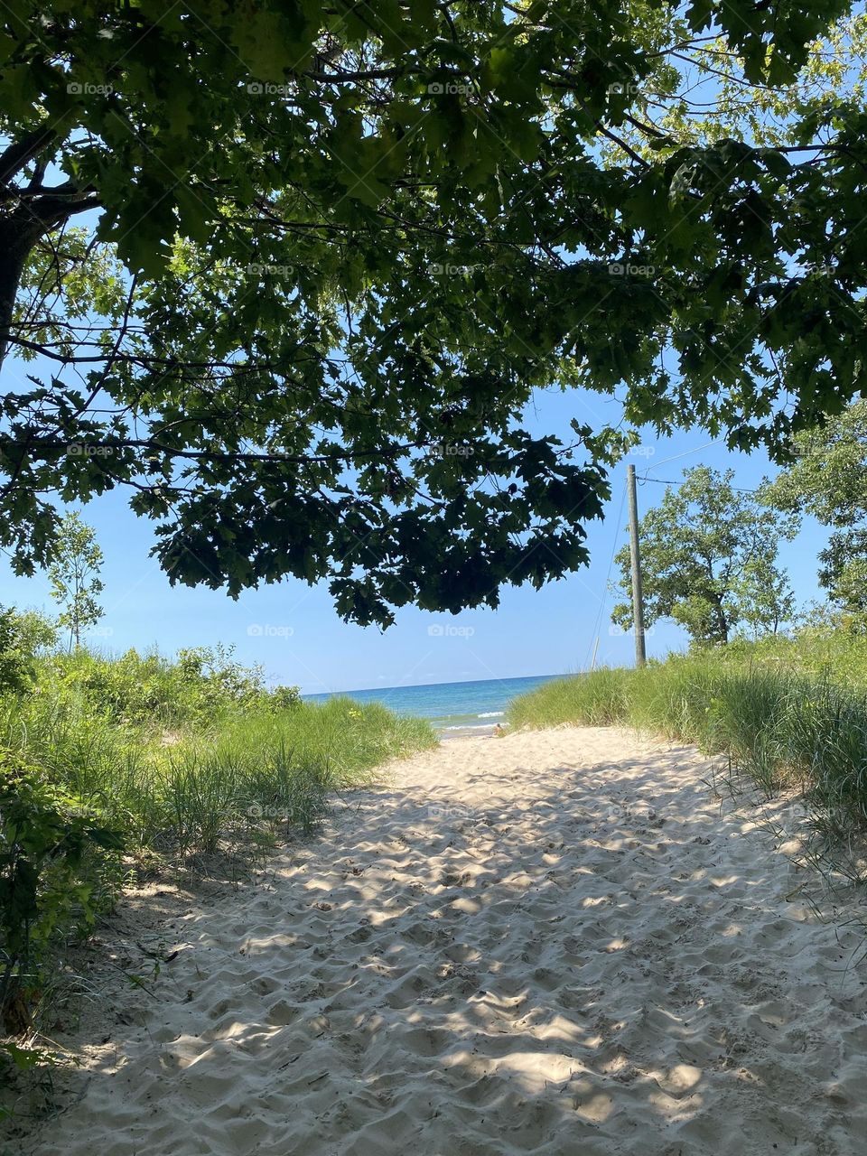 A sandy path leading to a beach, with greenery on both sides and the ocean visible in the background. 