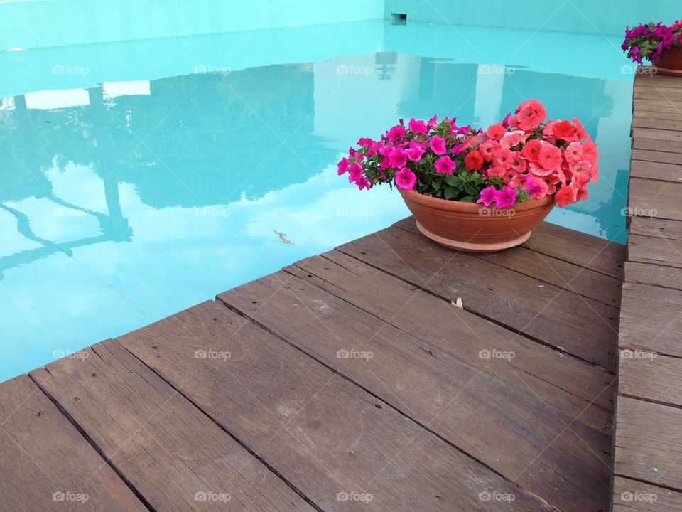 FLOWERS BY THE POOL