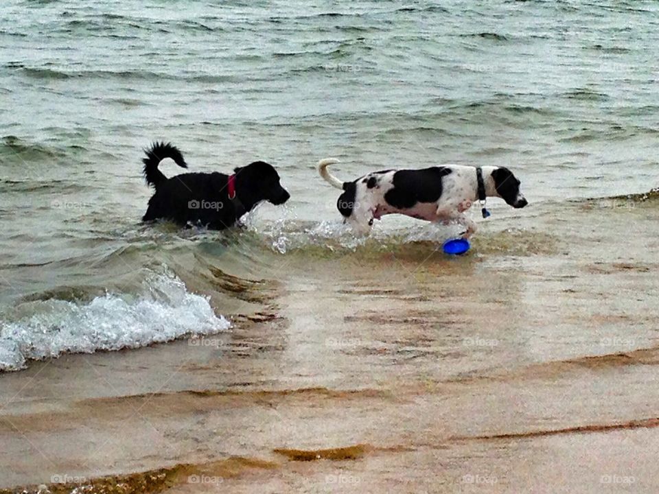 Playing on the beach