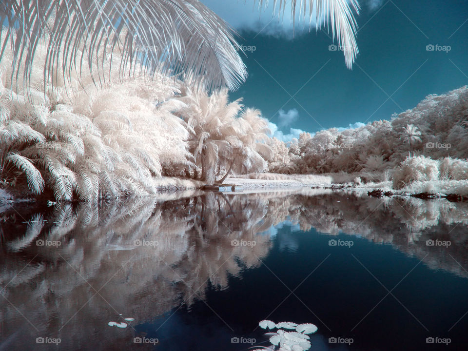 Infrared at the Kempinski resort in Mahé -Seychelles