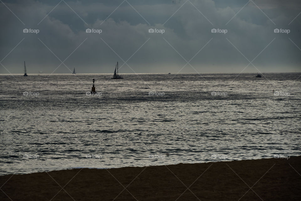 Backlight at the seaside in winter