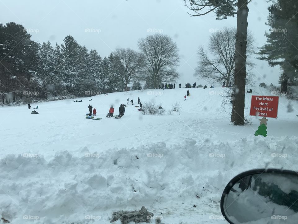 Kids sledding 