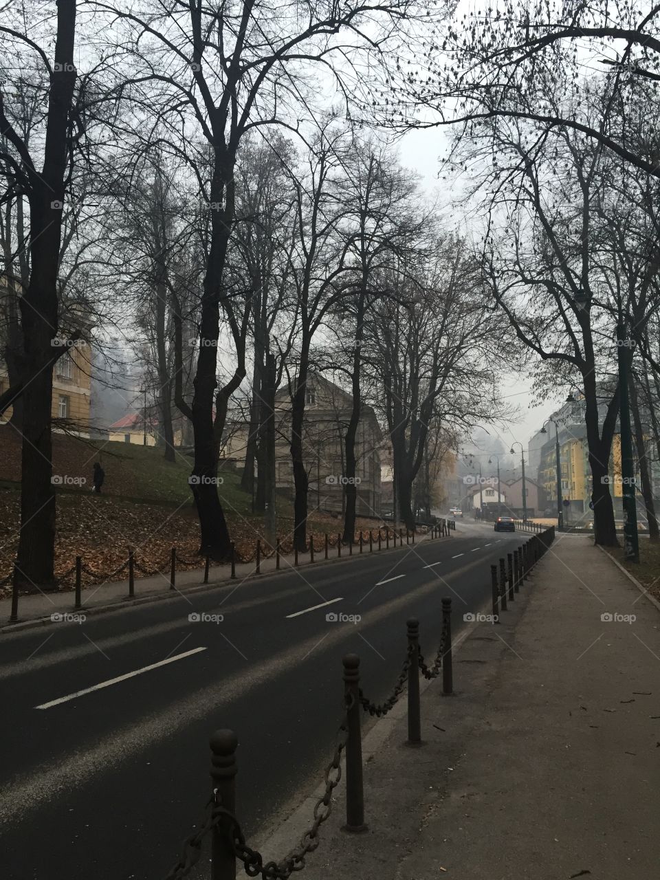 Foggy streets of Sarajevo 