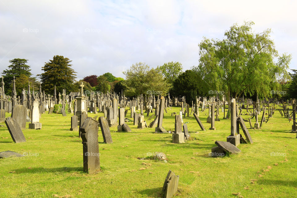 Irish cemetery  landscape