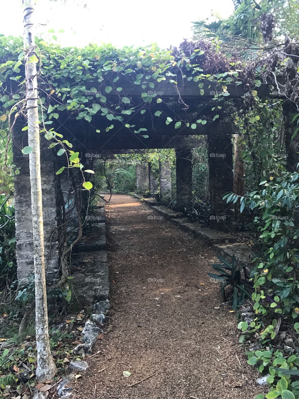 Pathway at The Retreat Gardens in The Bahamas. 