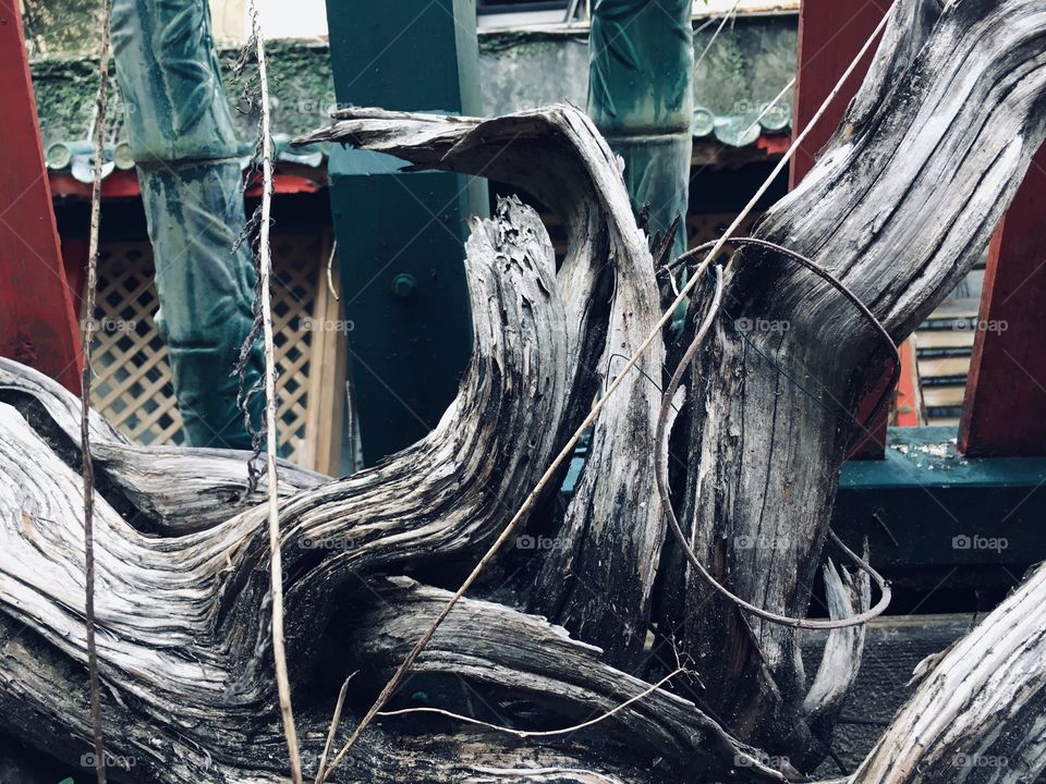 Urbex Abandoned in Florida 