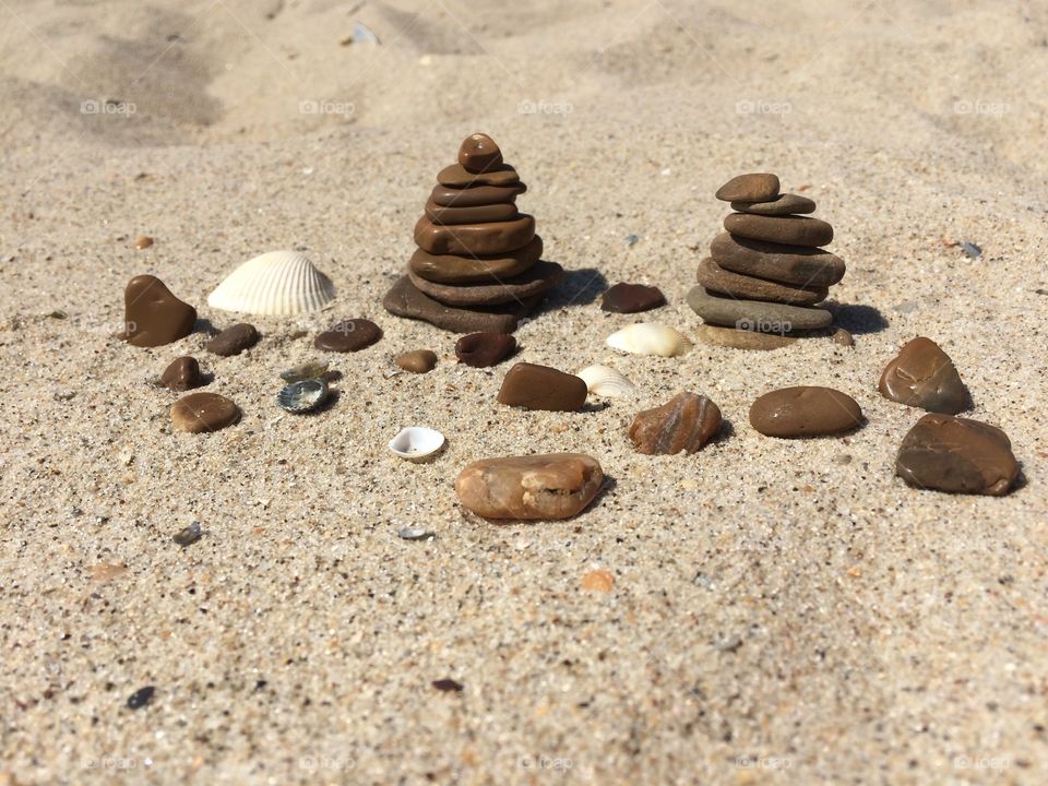 Shells and stones on a beach