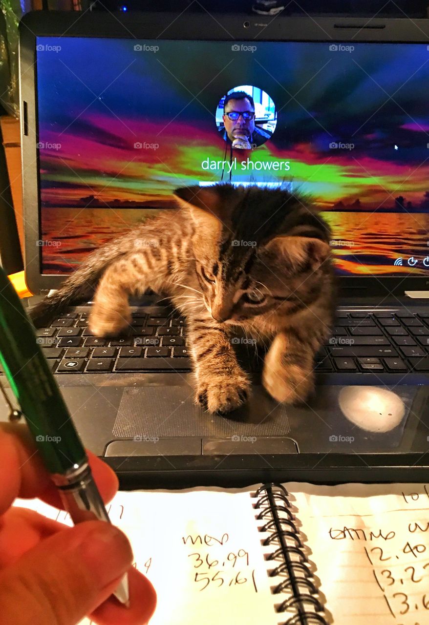 Kitten computing