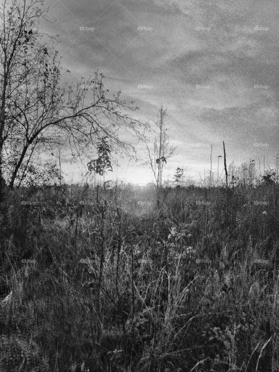 A B&W photo of a glaring autumn sunset in rural central Arkansas
