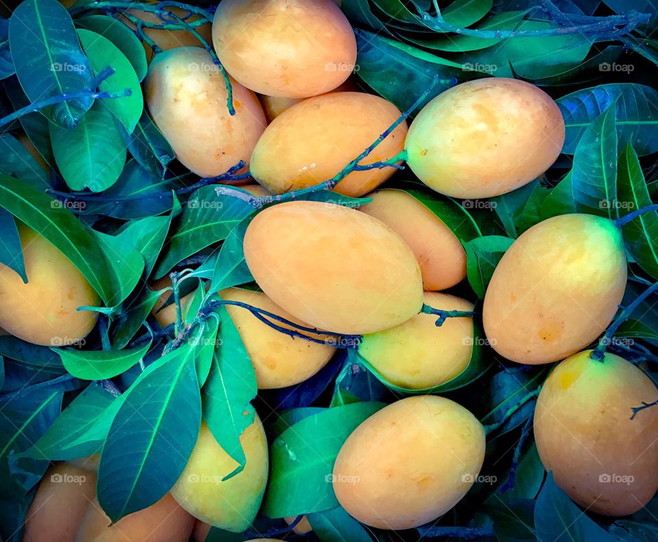 Sweet Thai Marian plum or plango (plum mango) with leaves