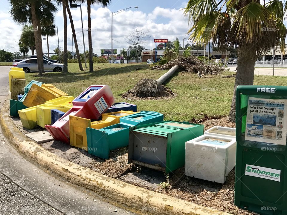 News boxes and a tree fallen from hurricane Irma 