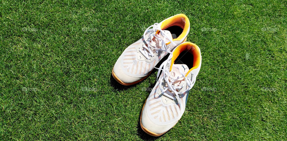 Puma shoes on green football yard