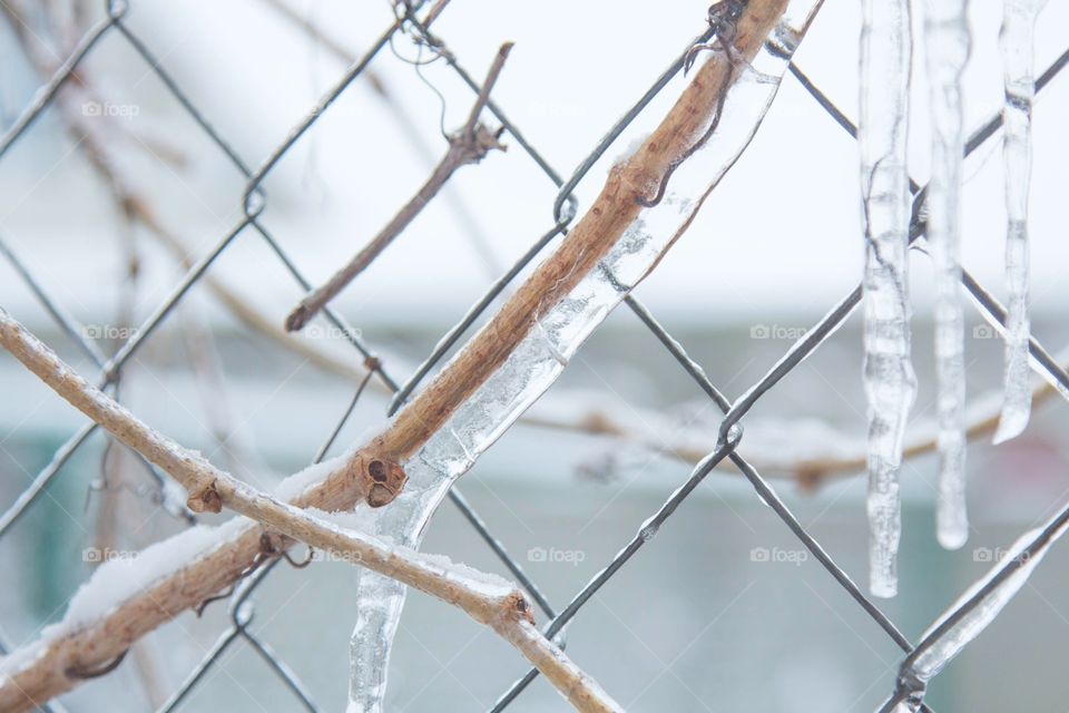 after freezing rain in winter