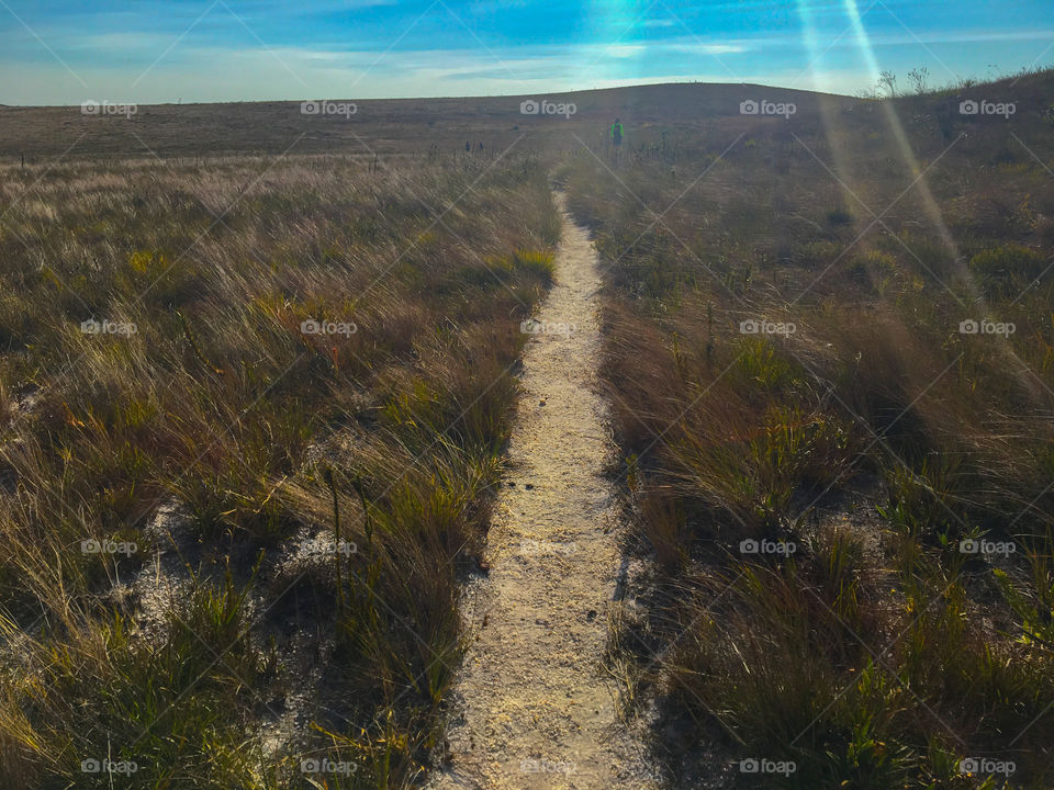 Natural light reflecting on the trail in the field