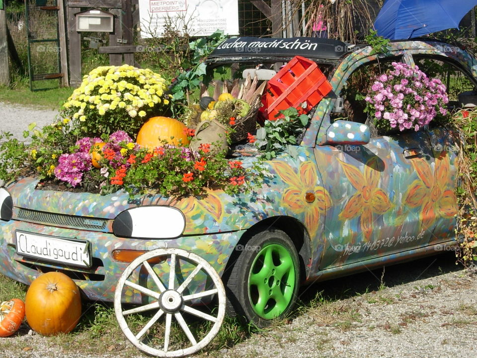 Auto im Herbst 