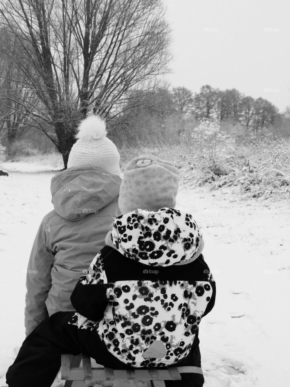 Spaziergang im Winter