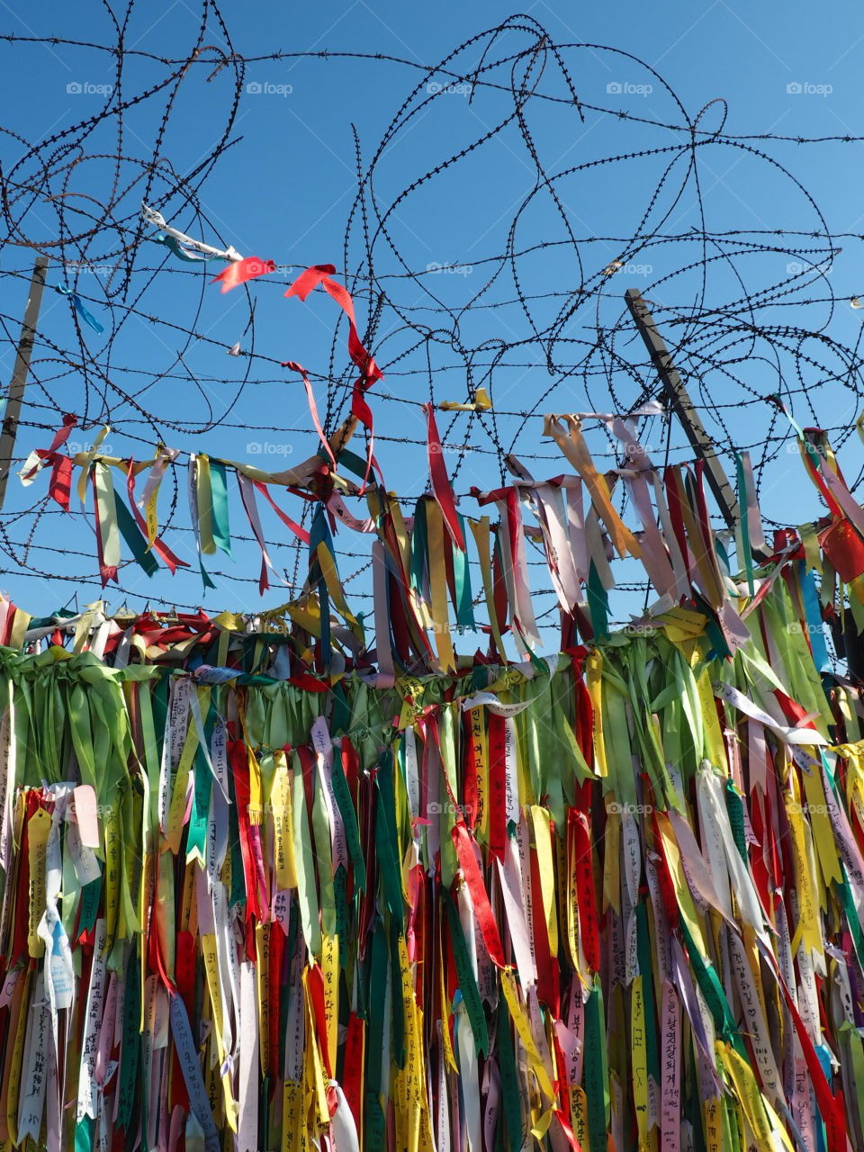 Peace ribbons and barbed wire