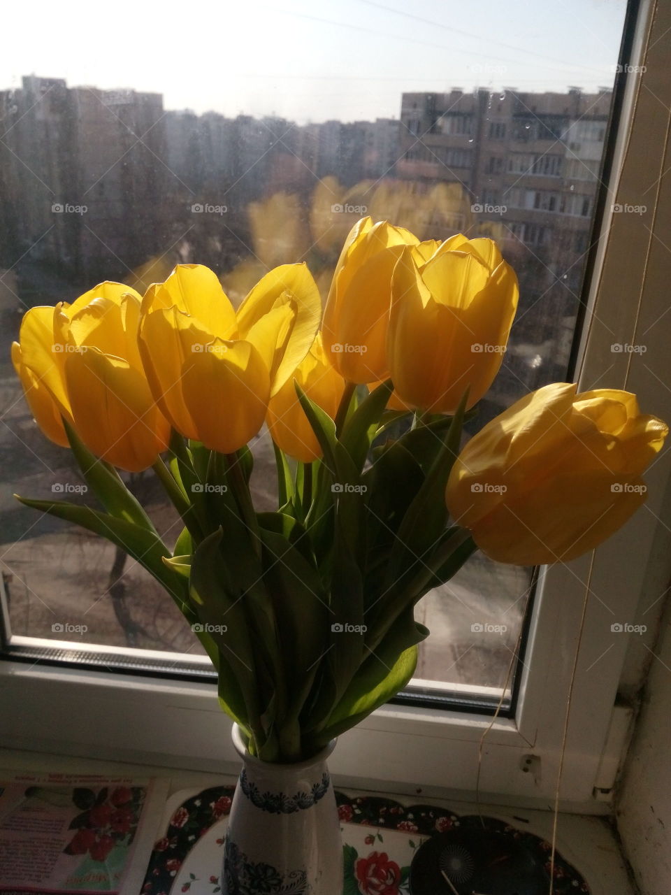 тюльпани. цвети на день рождения