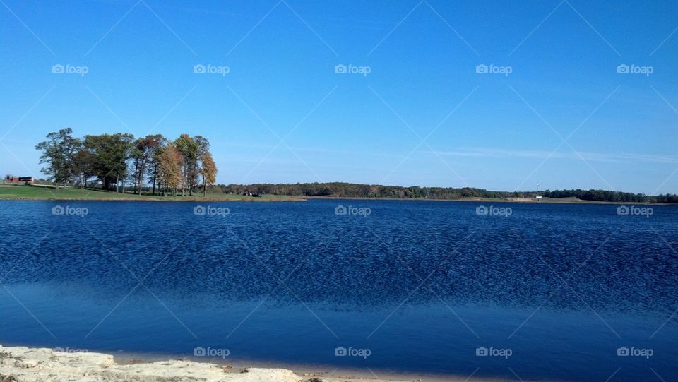 Autumn Bog