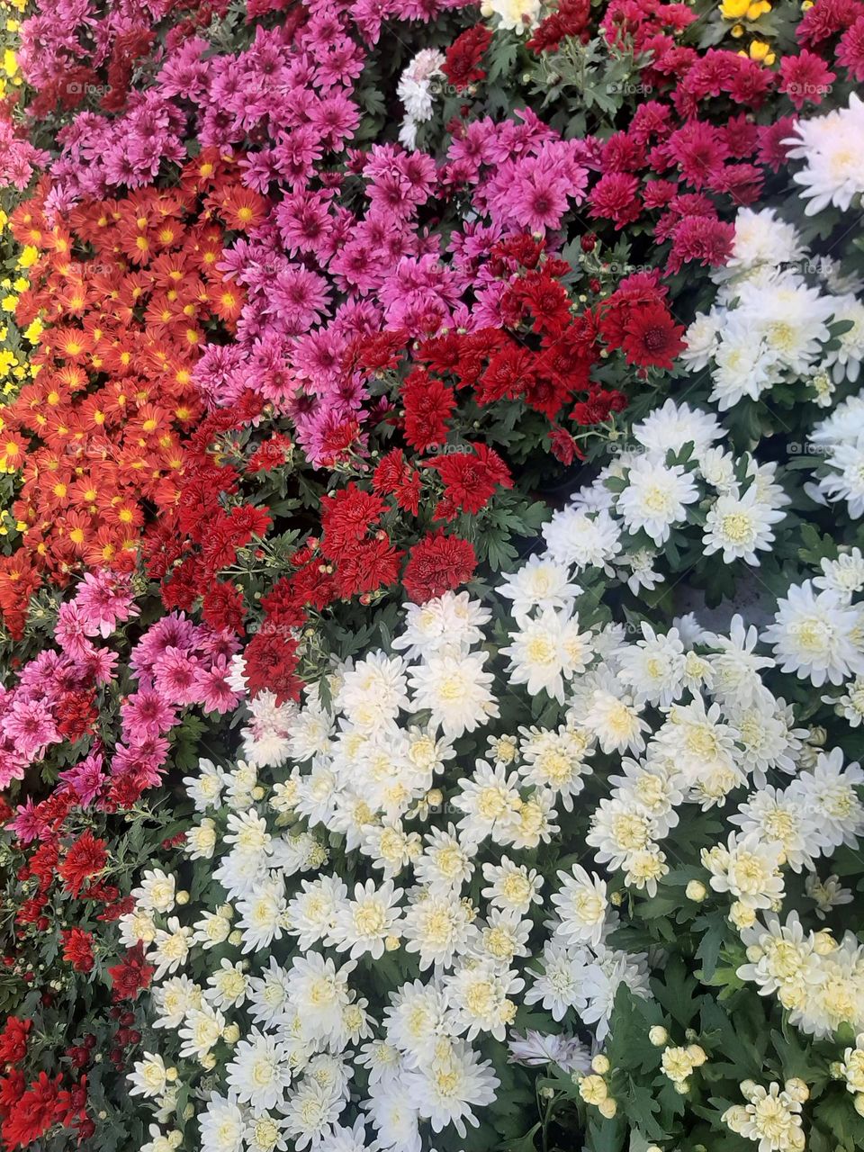 Please make me happy, I am poor, I need your help with support