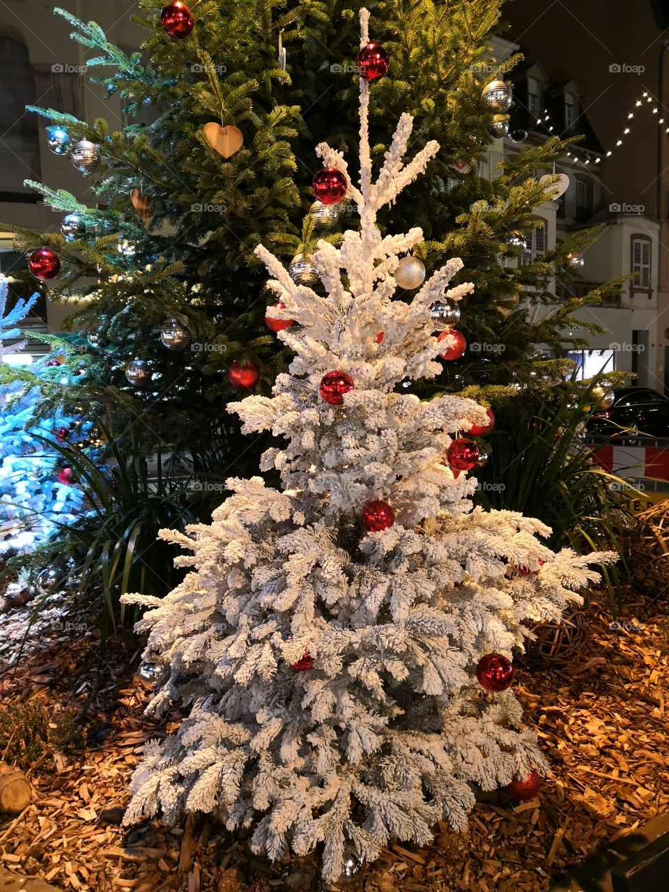 Tree, Christmas Decorations