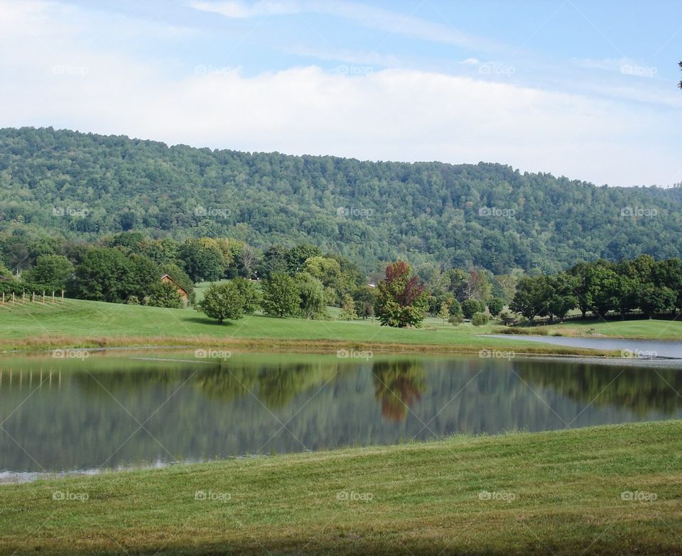 Virginia wine country