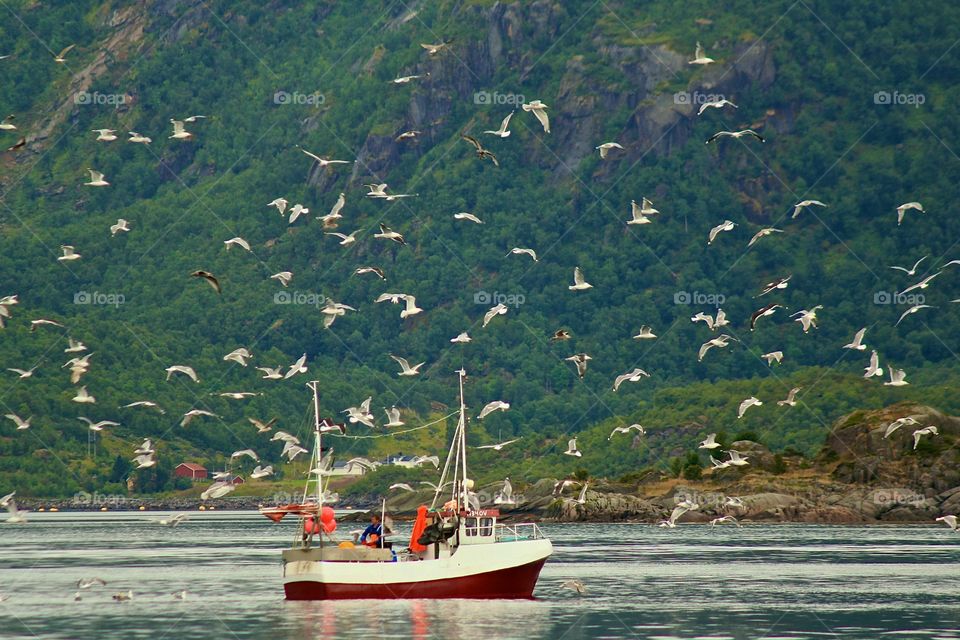 Norway, fishing boat 