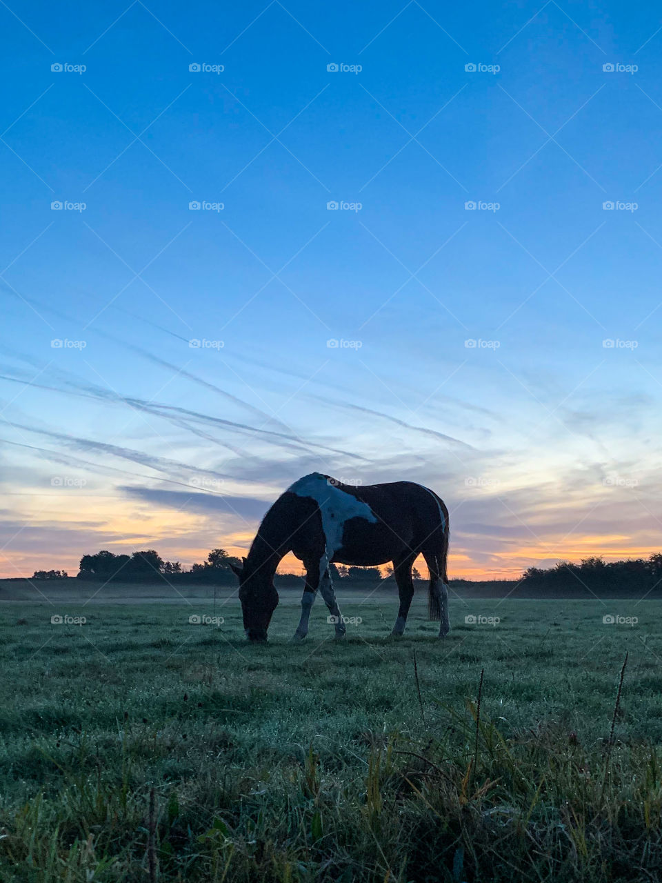 Autumn morning 