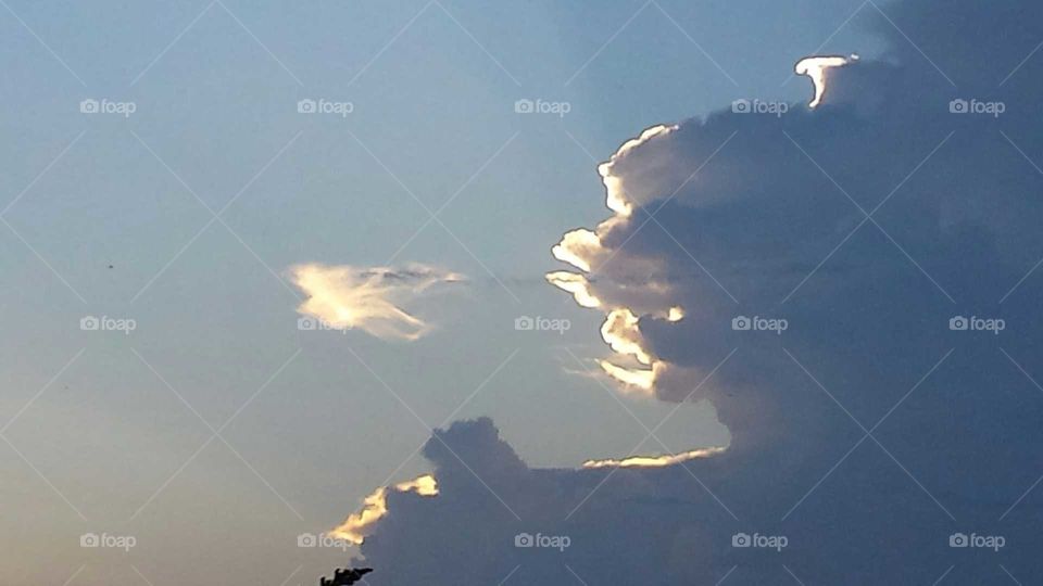 Releasing a bird.  Fly little birdie.