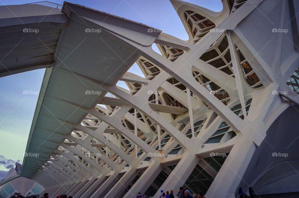 Museo Principe Felipe, Ciudad de las Artes y las Ciencias (Valencia - Spain)