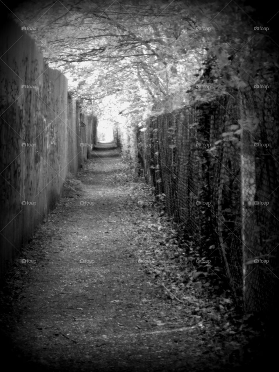 Light at the end of the tunnel 