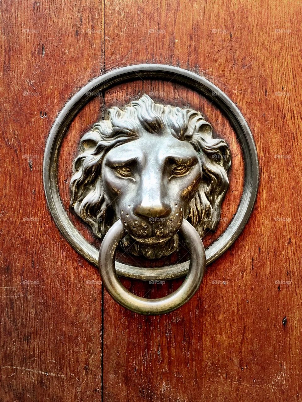 Lion Door