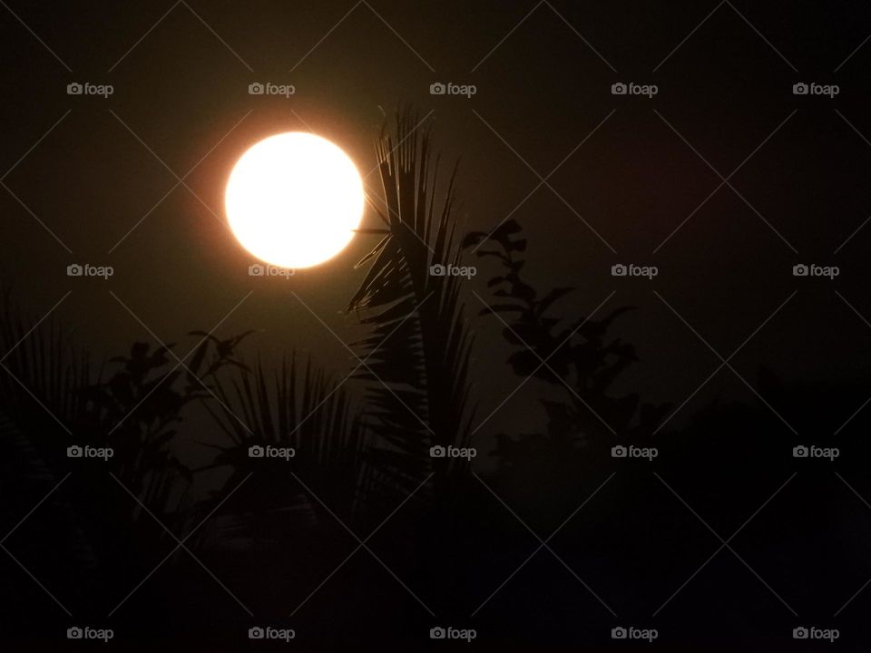 Noche Luna Llena Iluminada Perfecta Sombras Reflejos Brillante