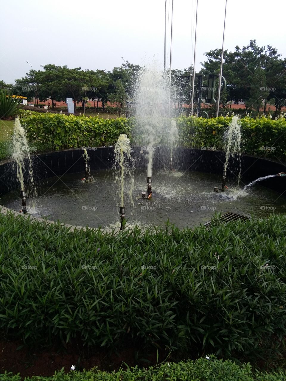 Water fountain