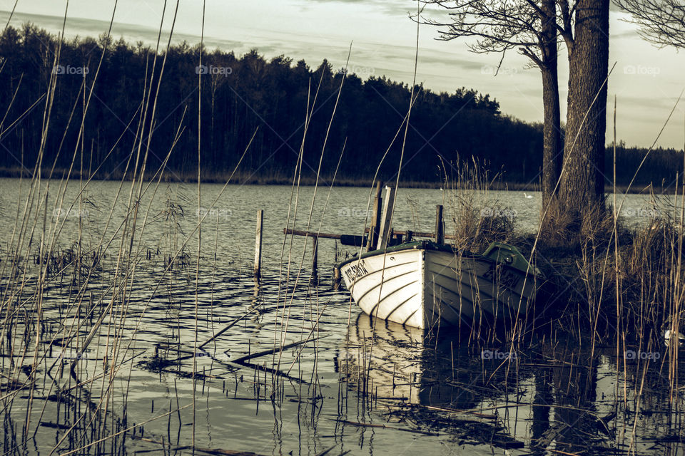 A boat on the lake.