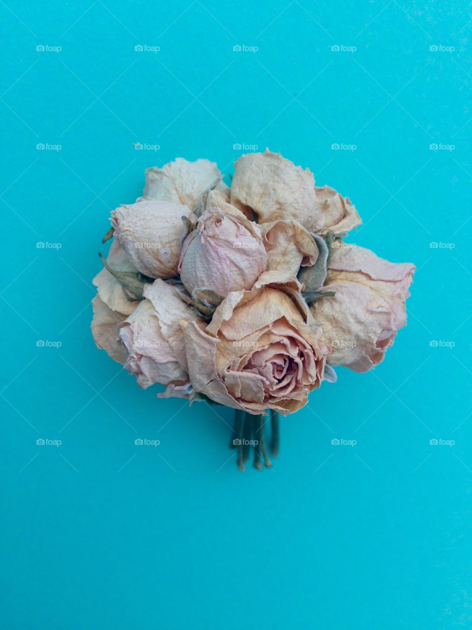 Mini roses bouquet on blue background 