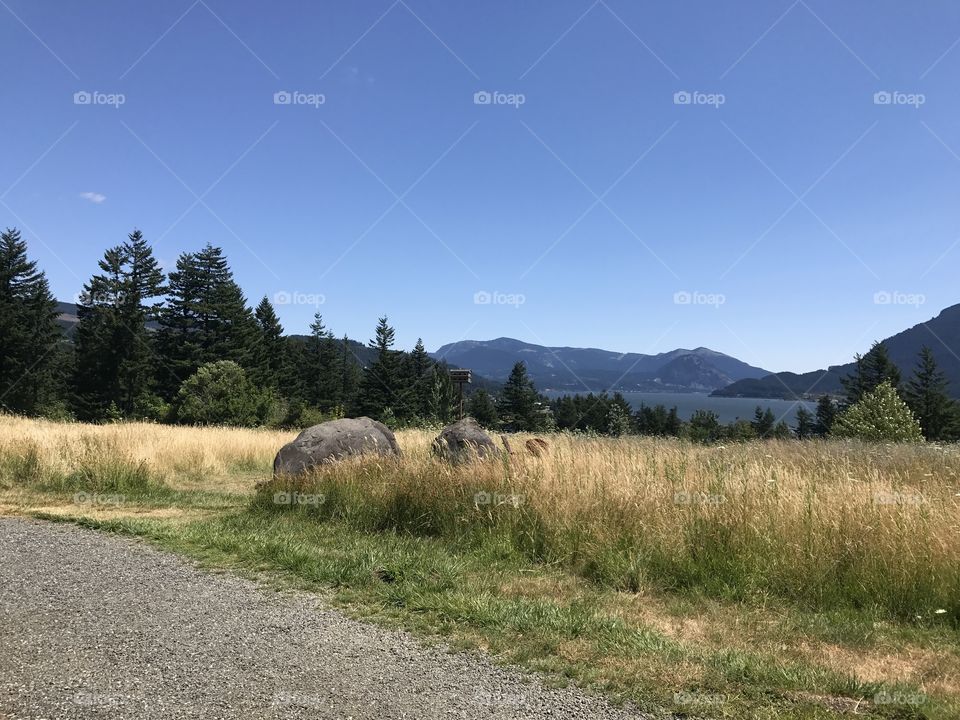 Beautiful landscape in southern Washington