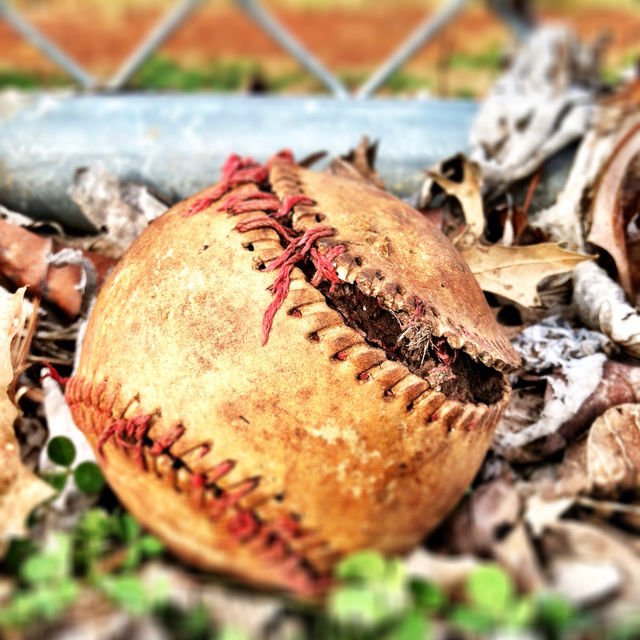 field china fence leaf by sr_photography
