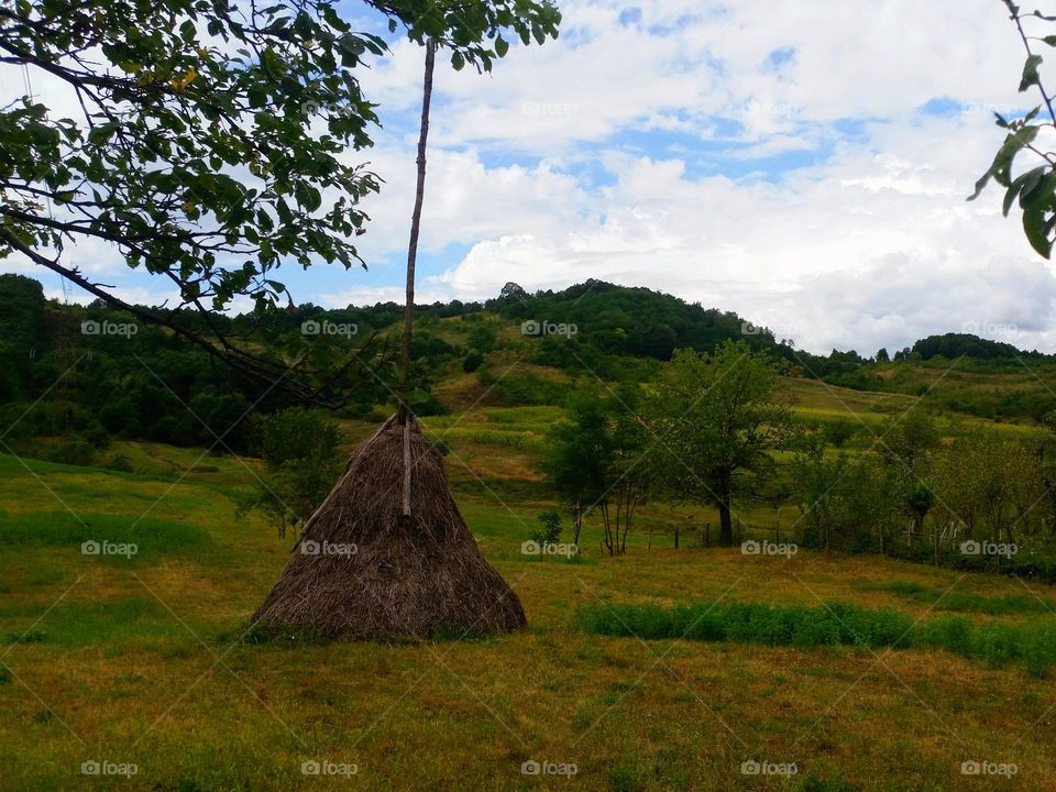 haystack