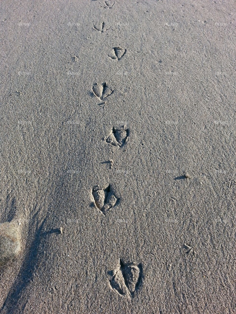 step on sand