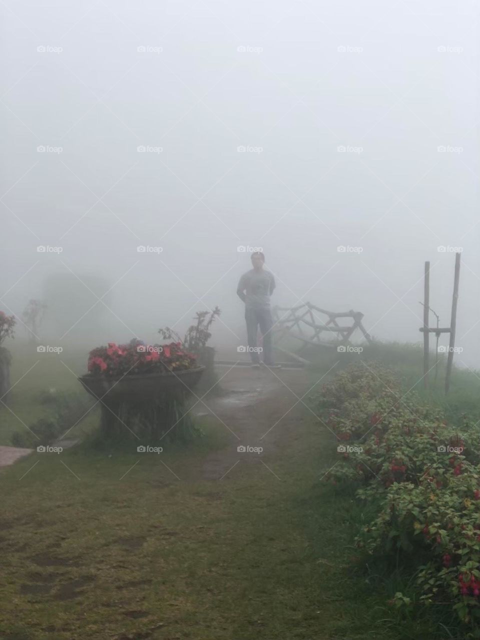 A man in the fog
