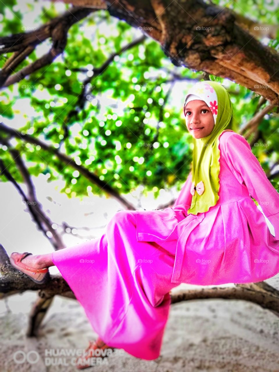 Undertree at Jerejak beach