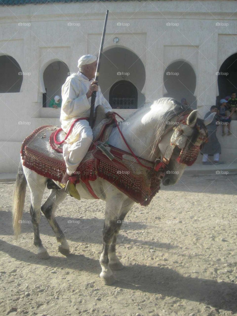 horses in fiesta from morroco