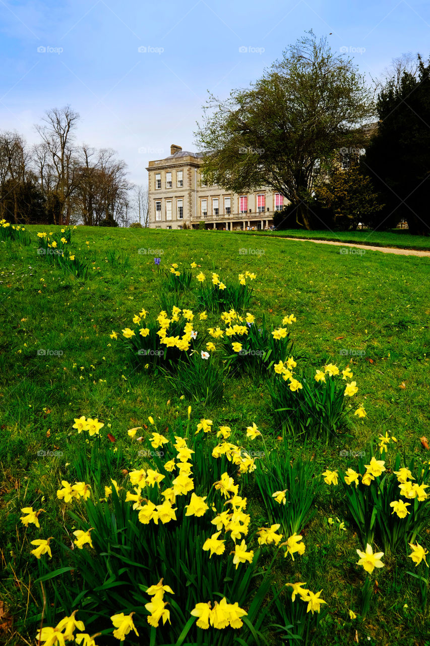 Mansion. Stately home 