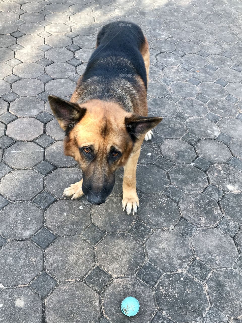 After finish and told him no more ball for today